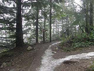 West Tiger 3 trail crosses the cable grade.