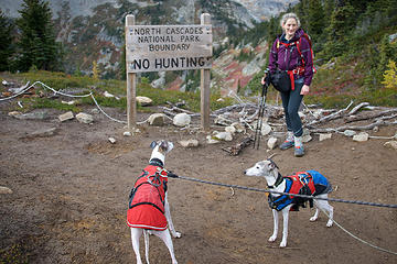 Whippets turn up their noses at "no hunting" sign.