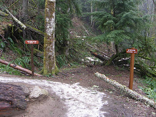 RR grade/West Tiger 3 trail junction. We have snow.