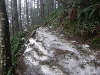 Steep switchback right before crossing cable grade. A sheet of ice.