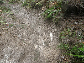 Mud on lower parts of cable line trail.