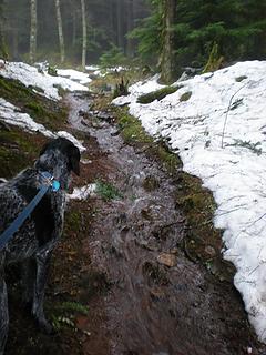 trail from Twin Lakes to Mt Pickett in Moran State Park in January after an unusual snowfall.  Orcas Island, San Juan islands, Washington