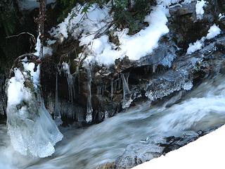 Ice brush over the creek