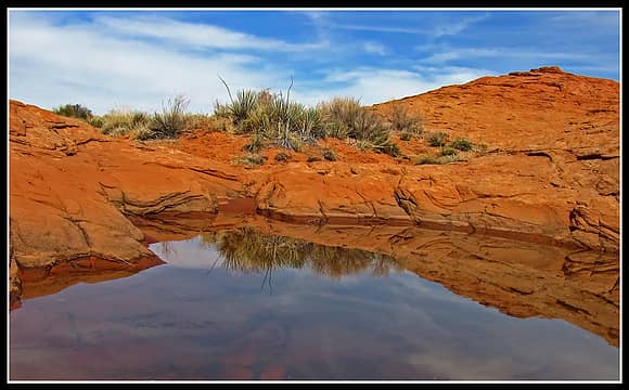 Standing water near the rim of Coyote Gulch