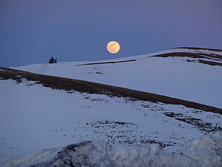Super worm moon rising over the Palouse hills.
