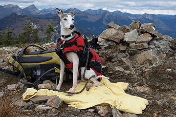 Rowena claims Tamarack Peak summit.