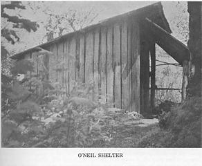 O'Neil Shelter, East Fork Quinault River (Lyle Cowles)