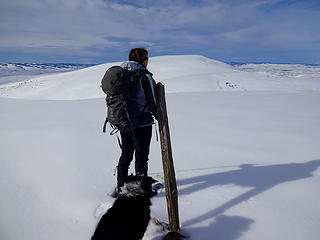 Snowdog and Izzy at Point 3511'. Wenas Benchmark is the next bump on the ridge.