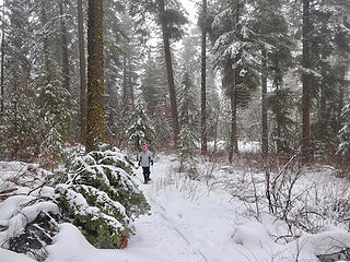 Snowshoe/hiking trail to Puffer Butte.