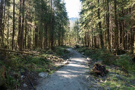 The old logging road rebuilt into a trail. Lots of gravel was brought in.