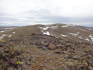 The true summit of Whiskey Dick Mtn 3881' in the distance. A permit is required for access from Wild Horse Wind Facility.