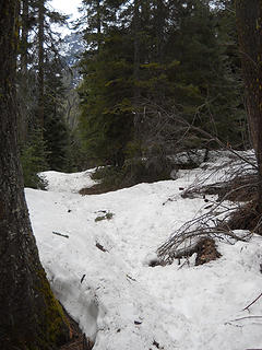 Ingalls Creek Trail 4/24/17