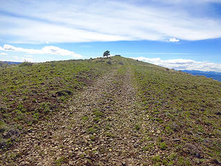 Rattler Benchmark, the highpoint of Umtanum Ridge.