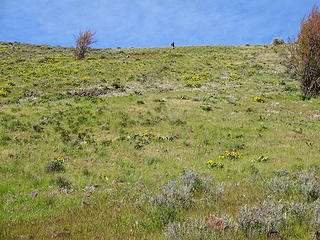 The bottom of the ridge that runs between Black and Spud Canyons.