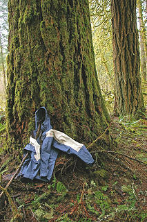 That's not really me sitting there, just my jacket to show scale of doug fir on secret locale location