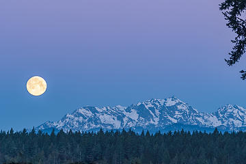 Moonset at dawn over Mount Constance