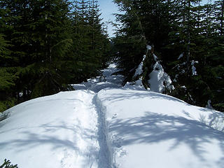 Snowshoe path following the road leading from Si.