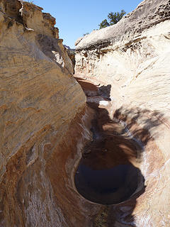 a watered narrows in the White Rim!
