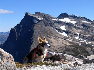 Buck Mt. in background; after Gwynnie showed the way, Al climbed it some years later.