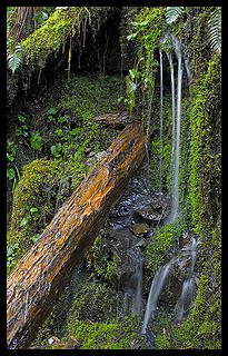 lime kiln trailside mini-falls.