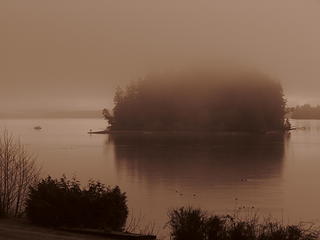 McMicken Island in morning mist
