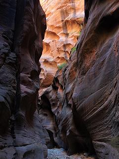 Paria Canyon-Vermillion Cliffs Wilderness, UT
