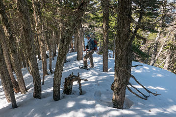 Enjoying the descent on firm shaded snow down the ridge to Zorro Pass