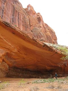 One of many overhangs in the canyon