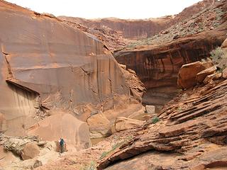 Our turnaround point in Coyote Gulch