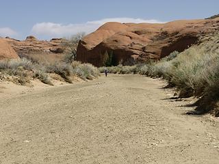 The dry portion before Coyote Gulch