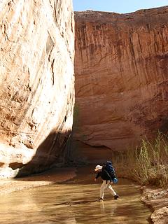 Liz on one of the MANY creek crossings in Coyote Gulch