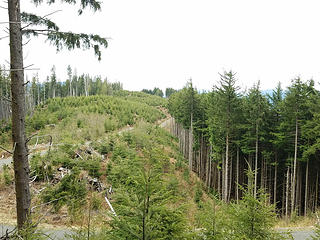 2722 ft Frailey Summit area from near 2721 ft area