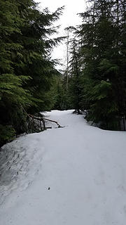 On the Crystal Lake trail. The snow was beautiful. Just starting to soften a bit, although I will say it was more slippery than usual.