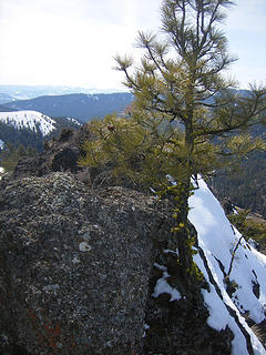 Summit rocks