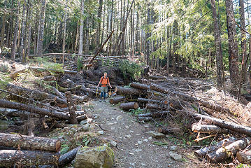 Cleared blowdown section. Thank you DNR and MTSG.