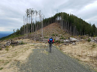 Stu approaching the Frailey Mountain lookout site