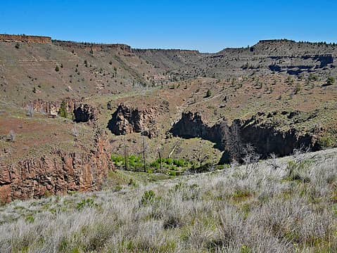 Canyon from rim portion of hike. 
Alder Springs, Sisters OR 5/3/17