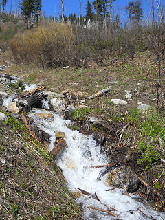 Creek crossing, Dirtyface Peak Trail