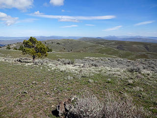 Looking east from Rattler Benchmark, 4224.'