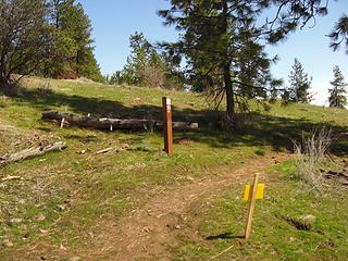 trail 25 off pine bluff rd