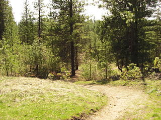 pine pluff, riverside state park 003