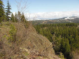 pine pluff, riverside state park 016