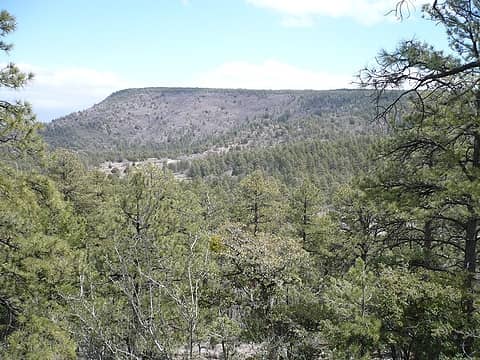 Mingus Mountain area from near Woodchute Trailhead on Prescott National Forest, near Jerome, Arizona.