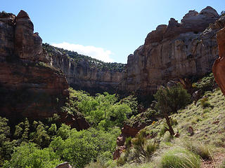 L. Fk. Deer Canyon trail