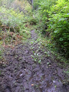 there were many sections of mud like this.  Many sections...