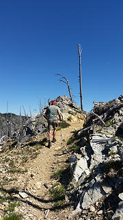 Trail from Angle Peak to the Backbone