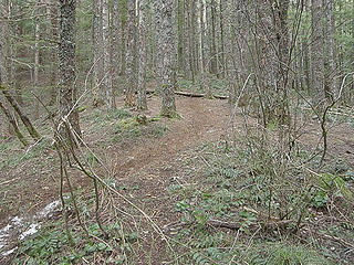 Mt Si old trail beginnings. Surprisingly little snow on the old trail until it almost meets back up with the new trail.