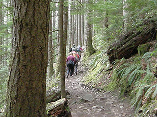 Hikers nearing the Vista point Mt Si trail.