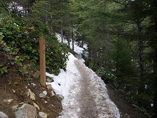 Mt Si trail 3.5 mile sign. A lot more snow/ice this way than taking the old trail cutoff.