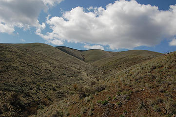 Umtanum Ridge